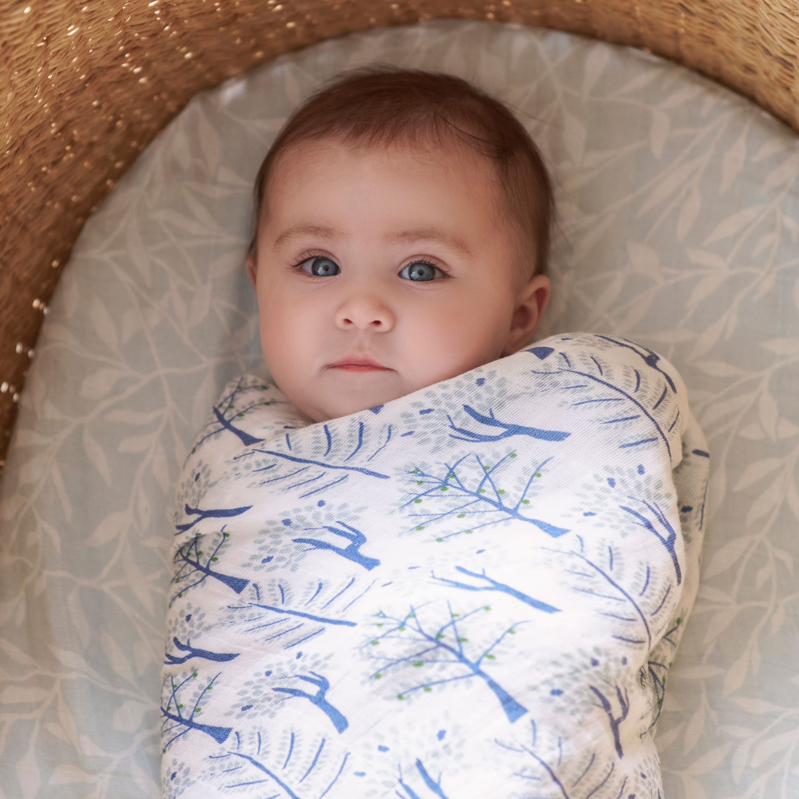 organic cotton muslin swaddle blanket 4 pack - Image 2